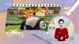 亚洲免费三级